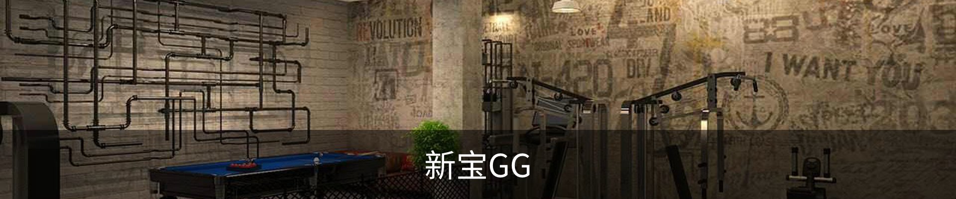 新宝GG