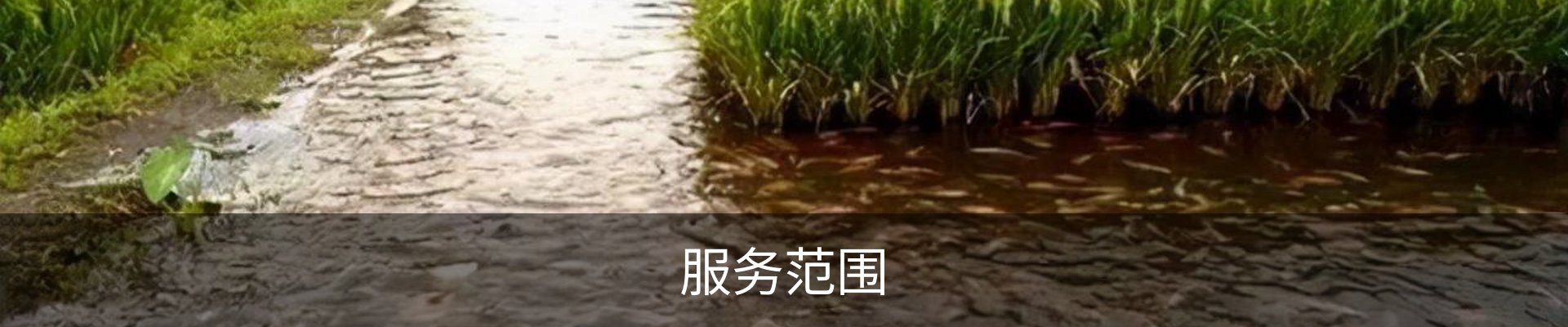 服务范围